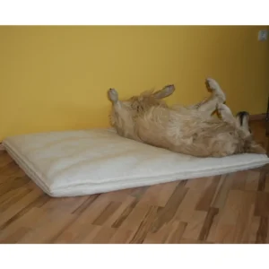 Tasso Doggy Wasserbett<br />50 x 70